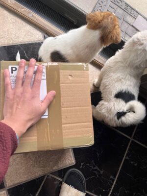 Buy Ozempic Tablet in UK 5 Buy Ozempic Tablet In Uk