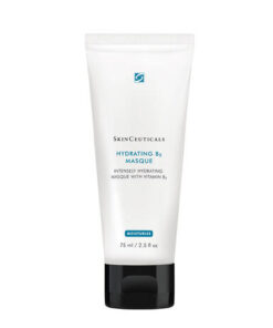 SkinCeuticals Hydrating B5 Masque