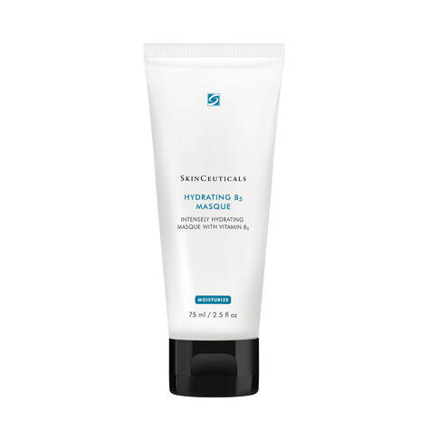 SkinCeuticals Hydrating B5 Masque 1 Skinceuticals Hydrating B5 Masque